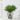 Jototo 1 Bunch Real Touch Artificial Plant 37cm - Boxwood