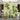Verona Wooden Tropical Rainforest Art Canvas Room Divider