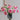 Jototo Real Touch Silk Artificial Camellia 46cm - Rosy