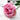 Jototo Real Touch Silk Artificial Camellia 46cm - Rosy